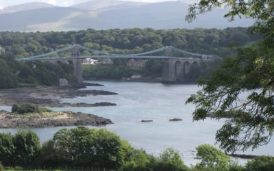 Race Report: Ring O Fire Ultra Marathon – A Royal Send Off