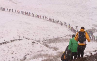 Weekly roundup – 7-14 Feb: It’s all about snow