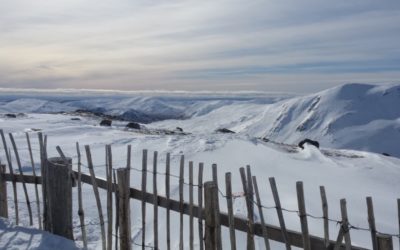 Weekly Round Up – 29 Feb-6 Mar: Hills in various forms