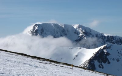 Weekly Round Up – 14-20 Mar: First Triathlon of the Season