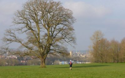 Weekly Roundup 28 Mar – 3 Apr: Going to Oxford