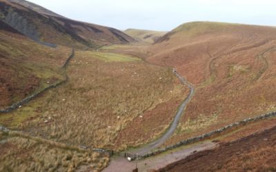 Weekly Round Up – 21-27 Mar: Switching Bikes and New Shoes